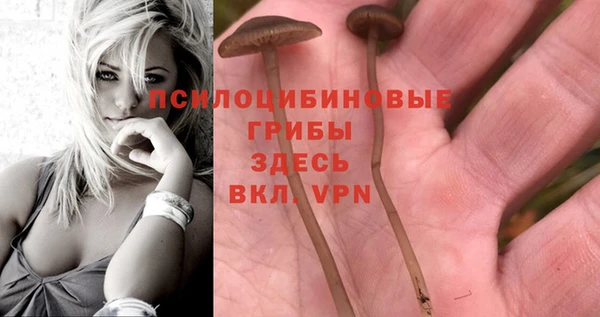 кокаин Козловка