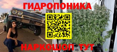 гашишное масло Гусев